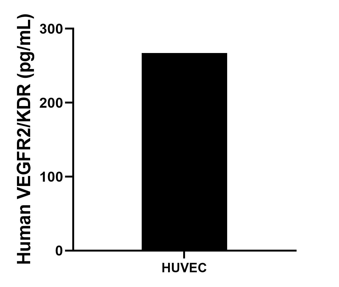 HUVEC was cultured in RPMI supplemented with 10% fetal bovine serum, 50 μM β-mercaptoethanol, 2 mM L-glutamine, 100 U/mL penicillin, and 100 μg/mL streptomycin sulfate. An aliquot of the cell culture supernatant was removed, assayed for human VEGFR2/KDR, and measured 267.3 pg/mL.